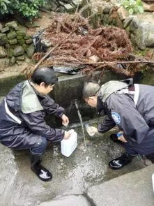 組建應(yīng)急分隊(duì)，筑牢汛期飲水安全防線